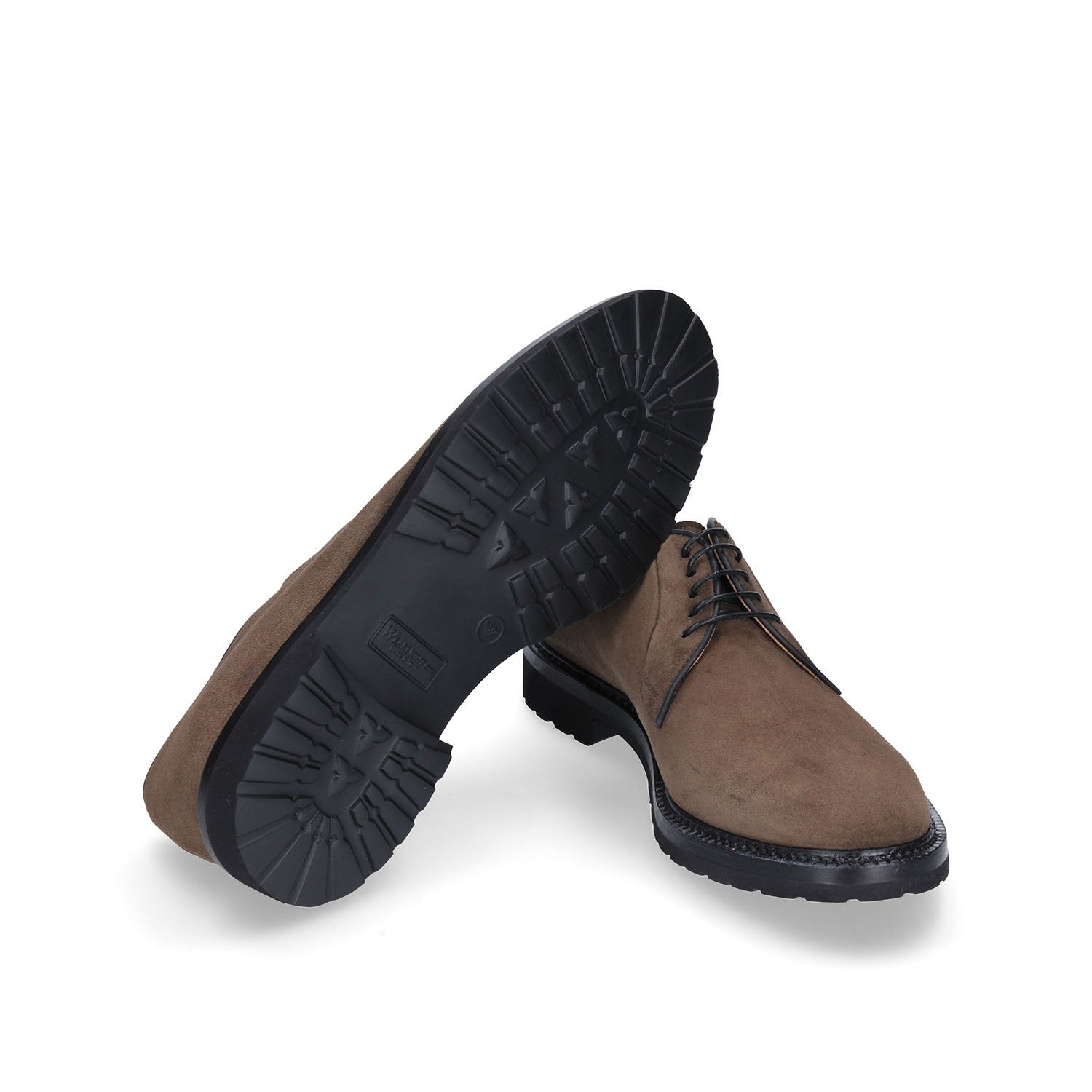 DERBY GREENWICH - Green