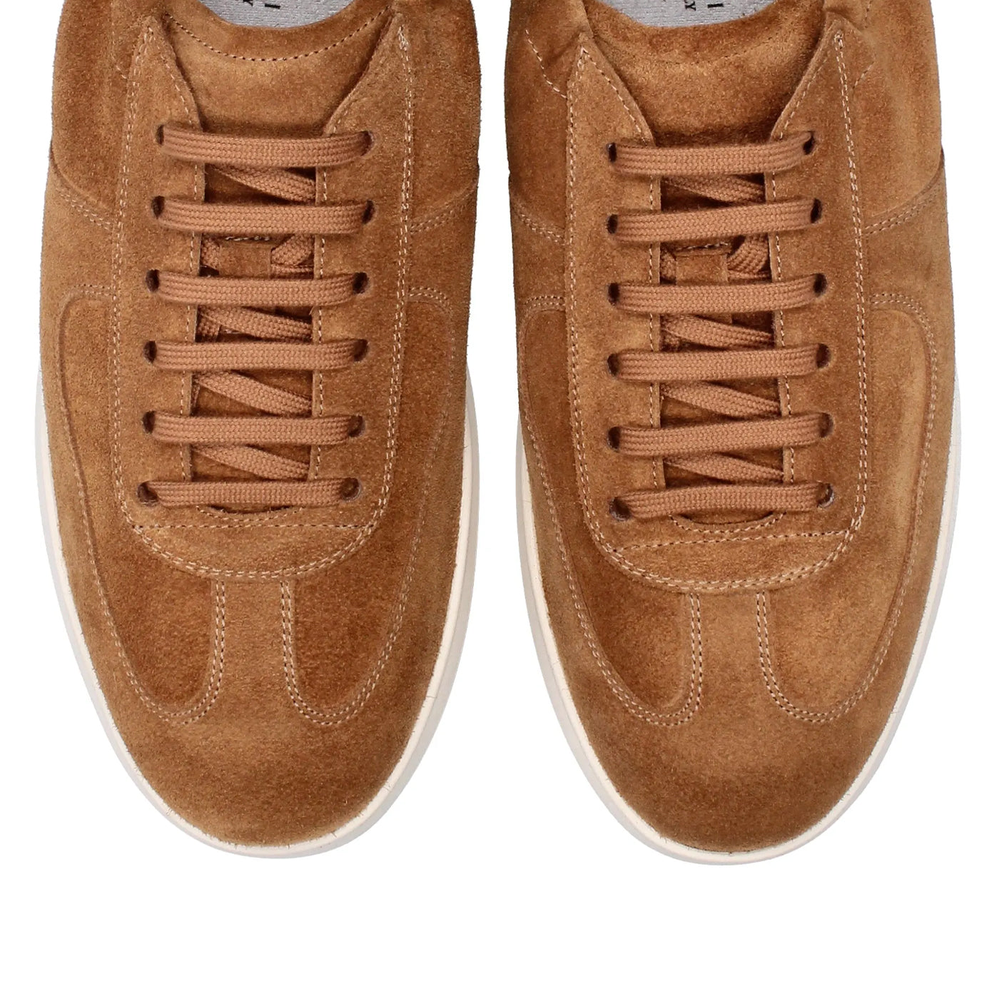 FRANCESINA DARIO - TERRE